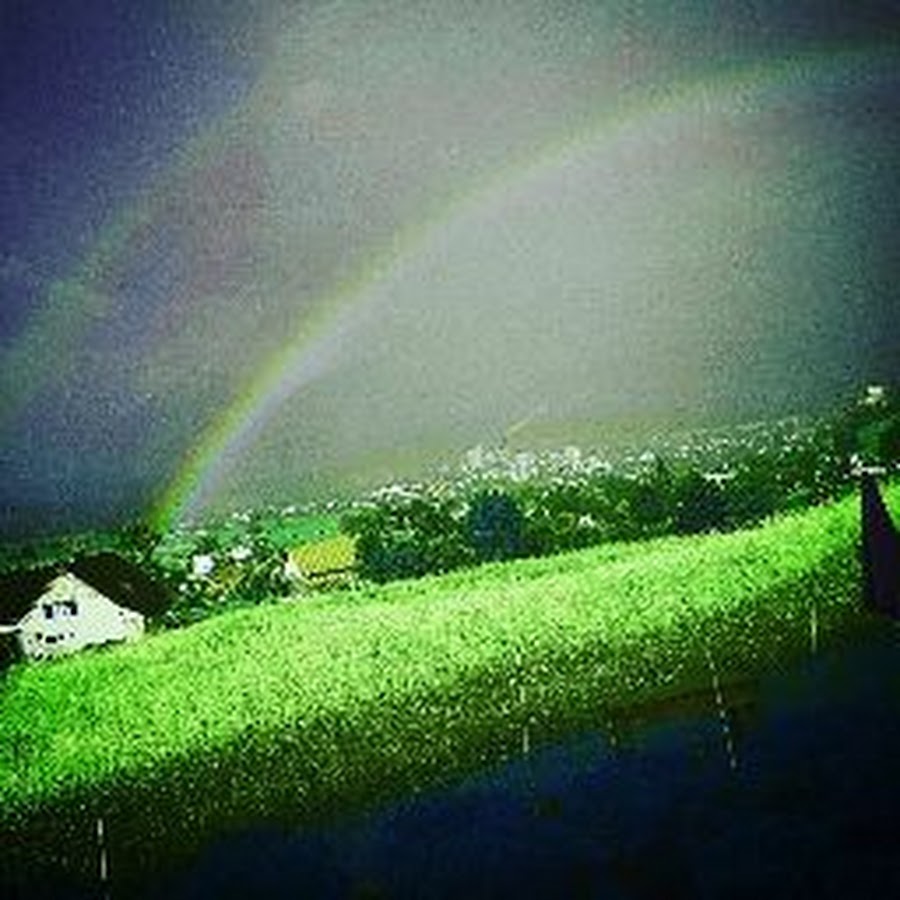 der Zocker - YouTube