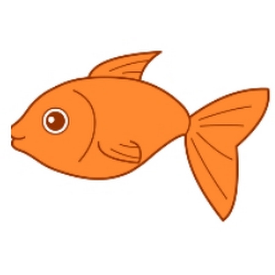 карточки рыбы карточки для детей. название рыб по алфавиту. рыба на английском для детей. рыбка на английском. рыбки для малышей.