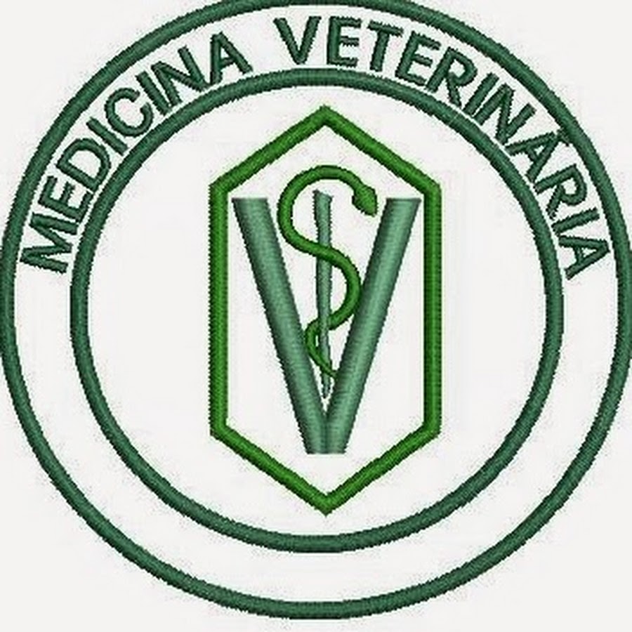 Medicina Veterinária - YouTube