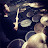 DW_Drummer avatar