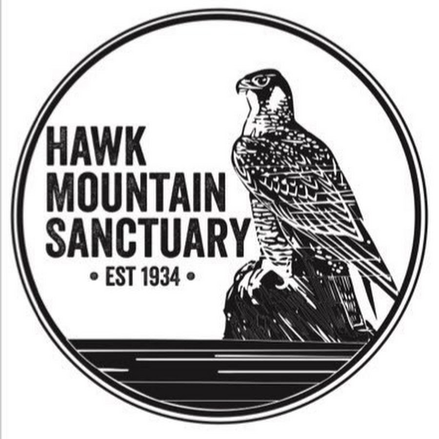 Hawk Mountain Sanctuary YouTube