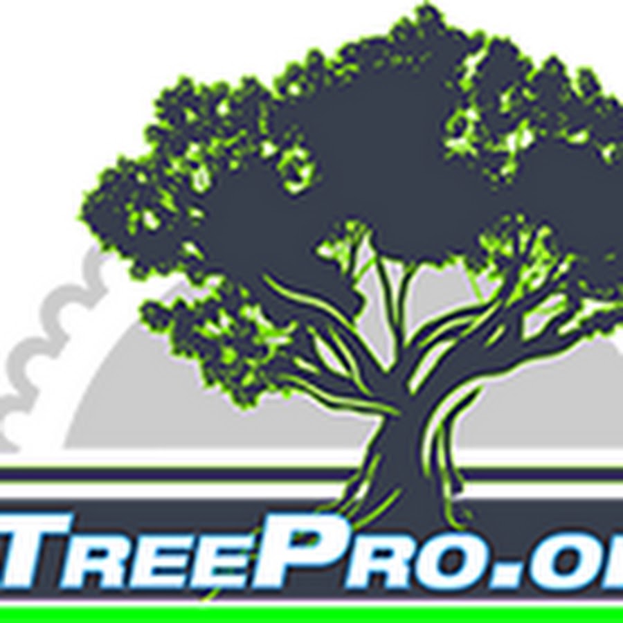 Tree Pro Tree Services YouTube