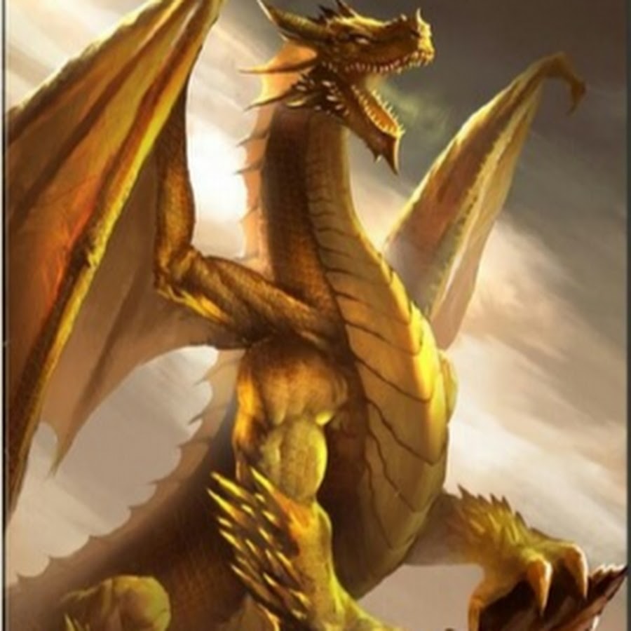 Включи золотой дракон. Дракон арт. Золотой дракон. Желтый дракон. Земляной дракон.