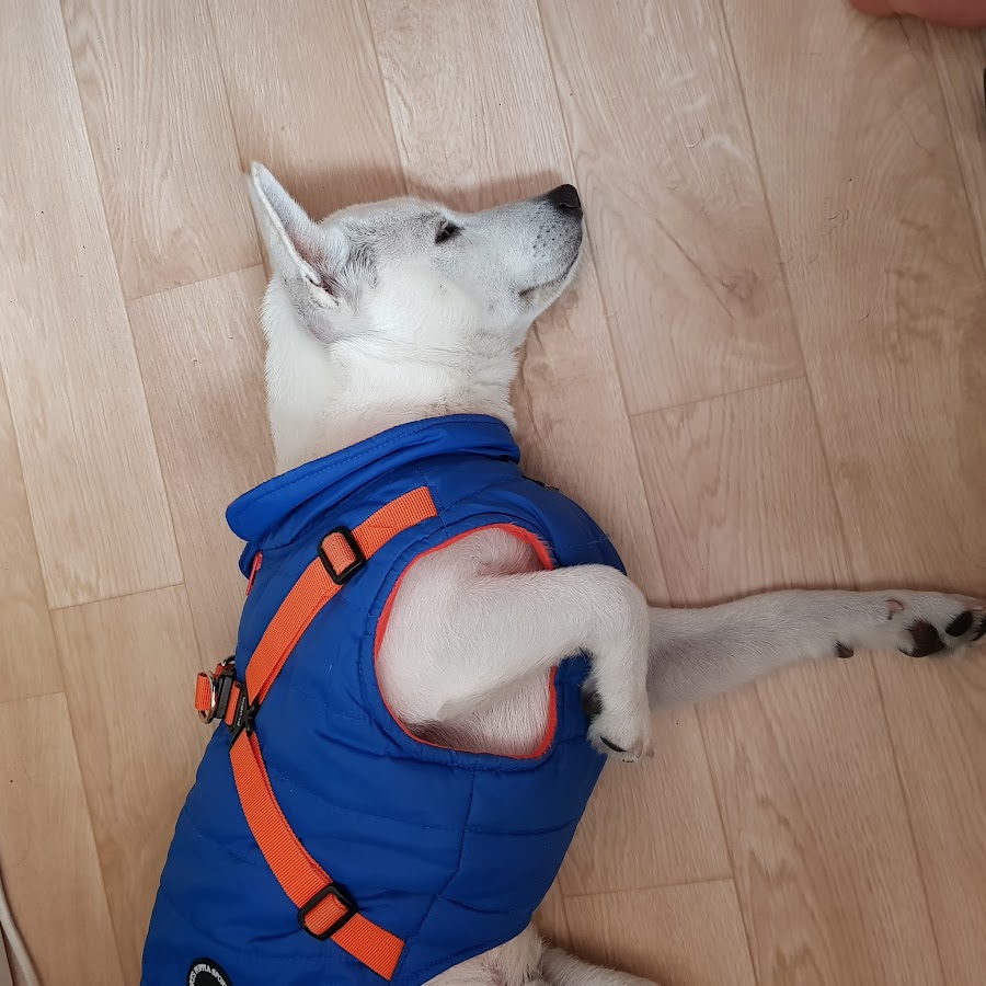 아쿠아[Aqua]의게임세상 - YouTube