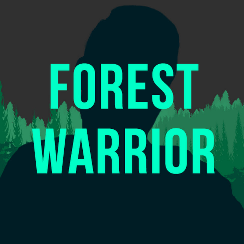 Данил Сиберия — DonatePay