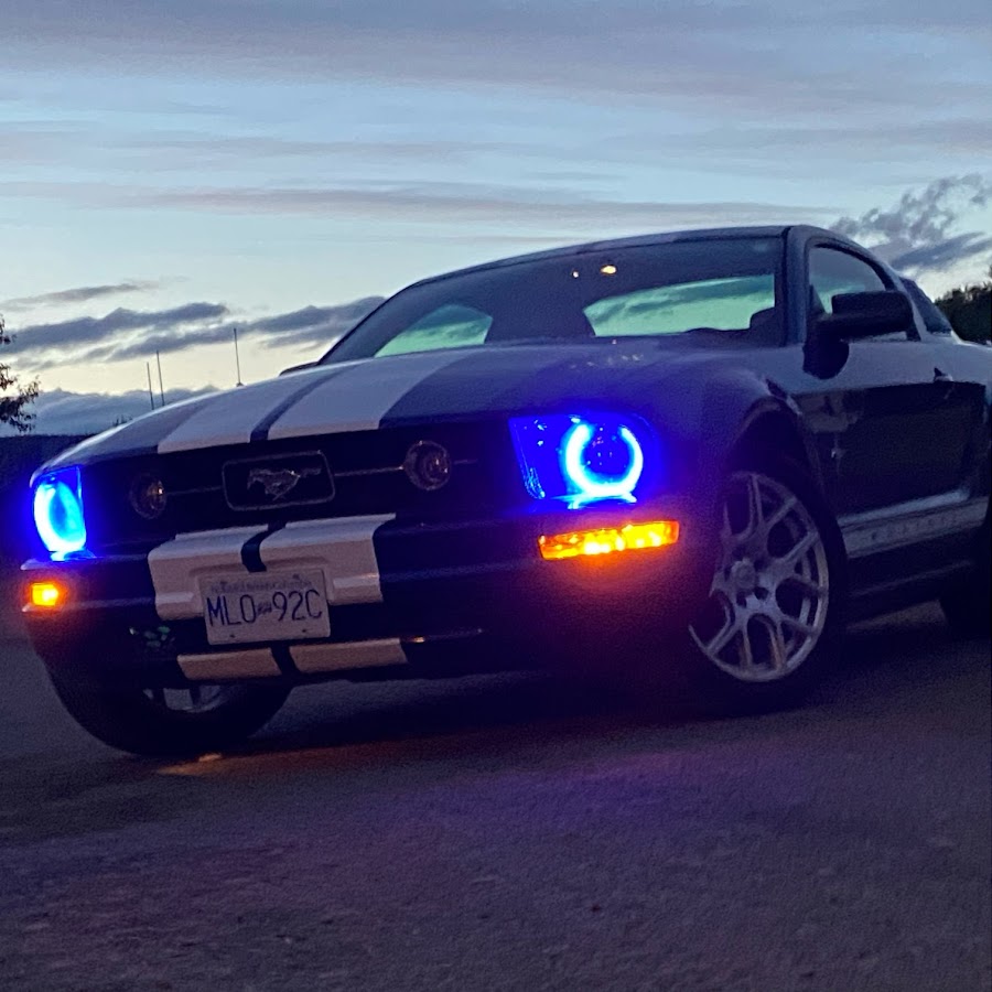 the pizza Player YouTube