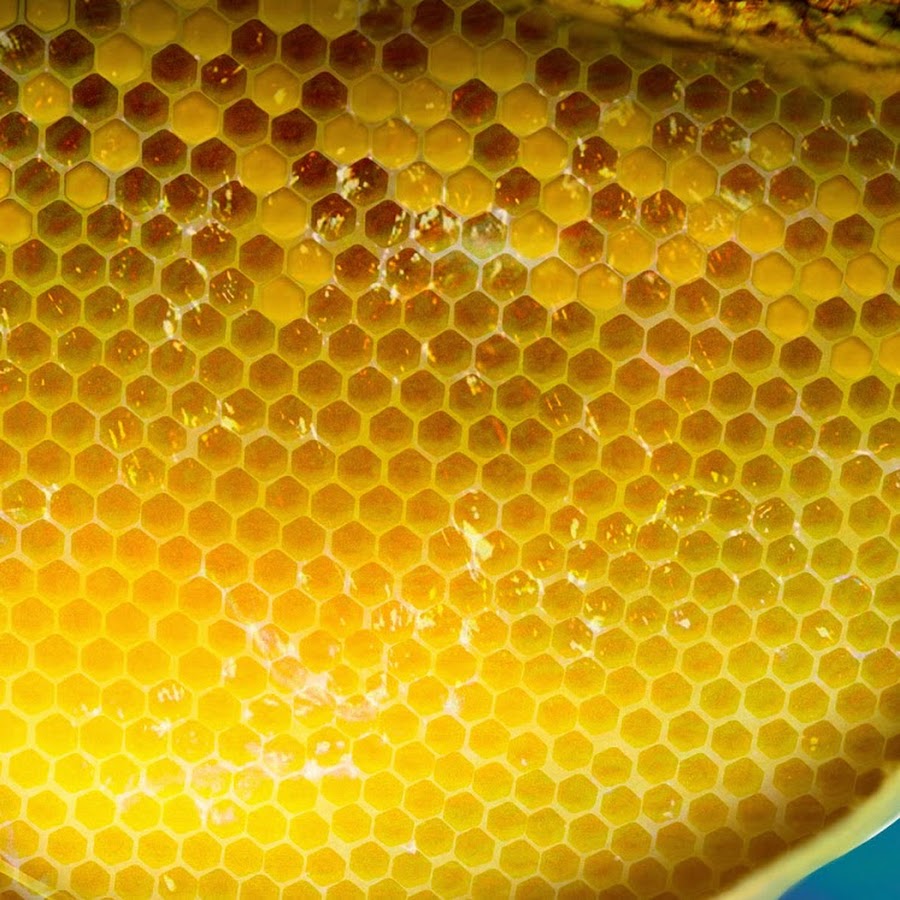 пчелиные соты текстура. фон соты. соты. пчелиное сото. покажи соты.