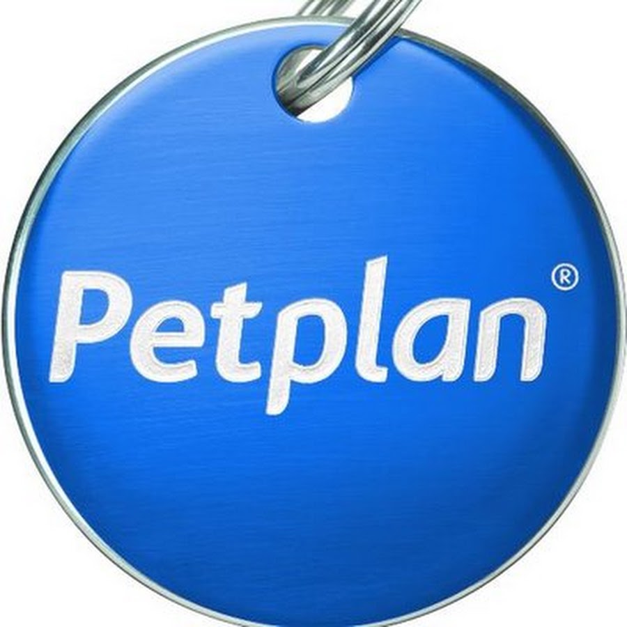 Petplan YouTube