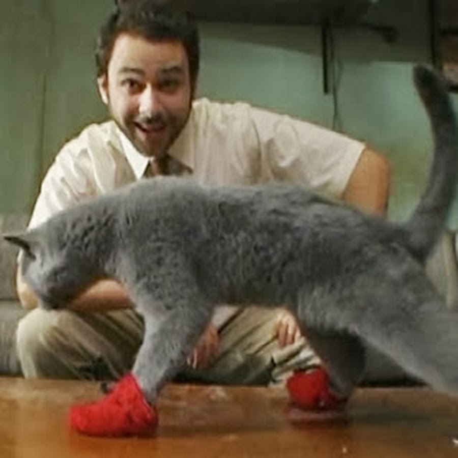 Kitten Mittens - YouTube