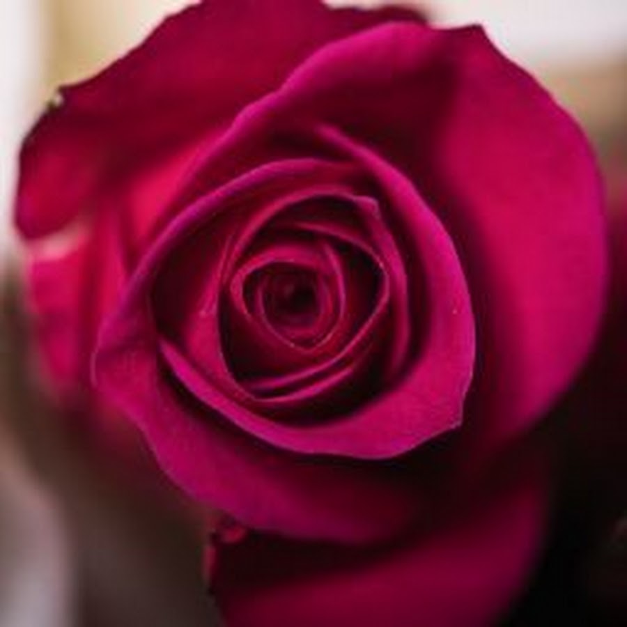 Victoria Sosinski - YouTube