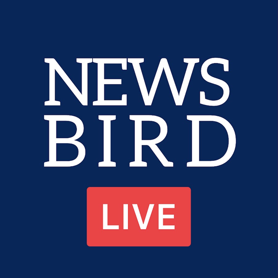 NEWS BIRD YouTube