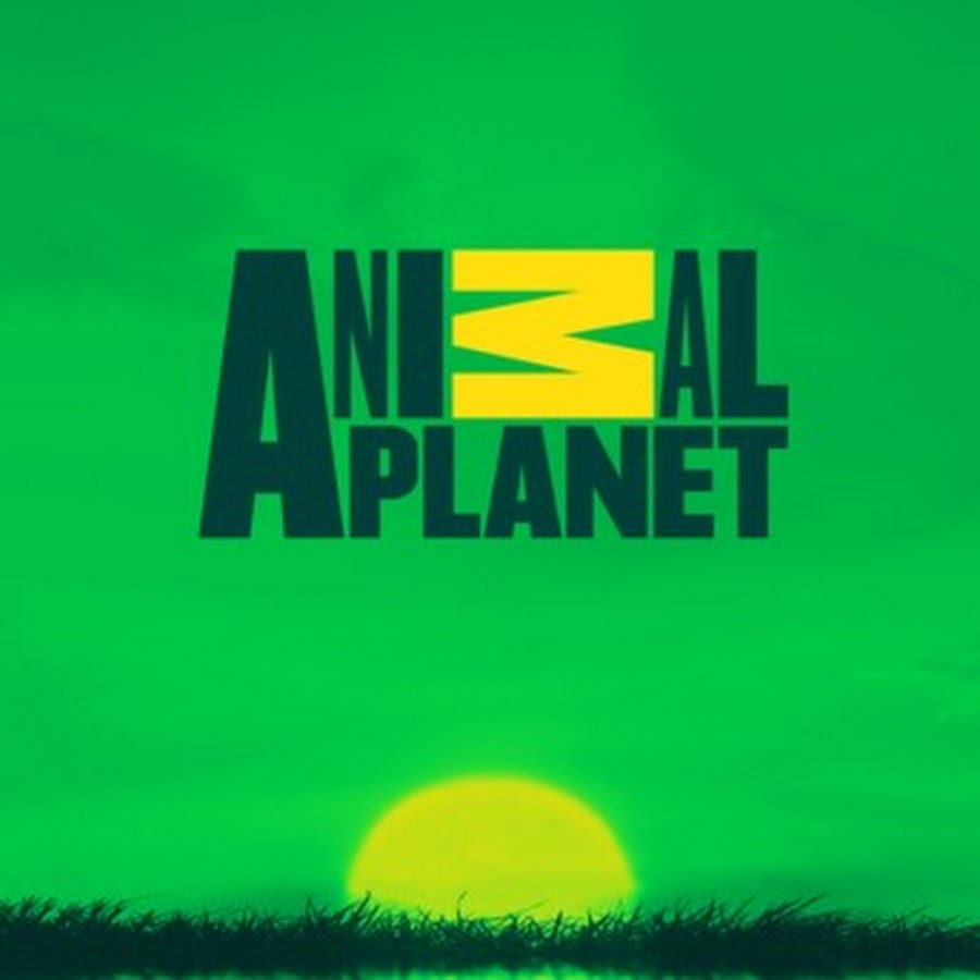 Animal planet 2008. Animal planet передача. Канал энимал планет. Речные монстры. Телеканал animal planet.