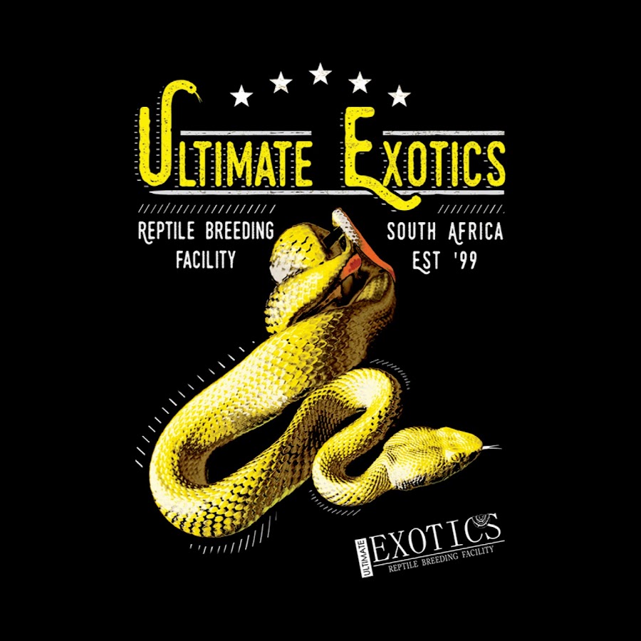 Ultimate Exotics Reptiles - YouTube