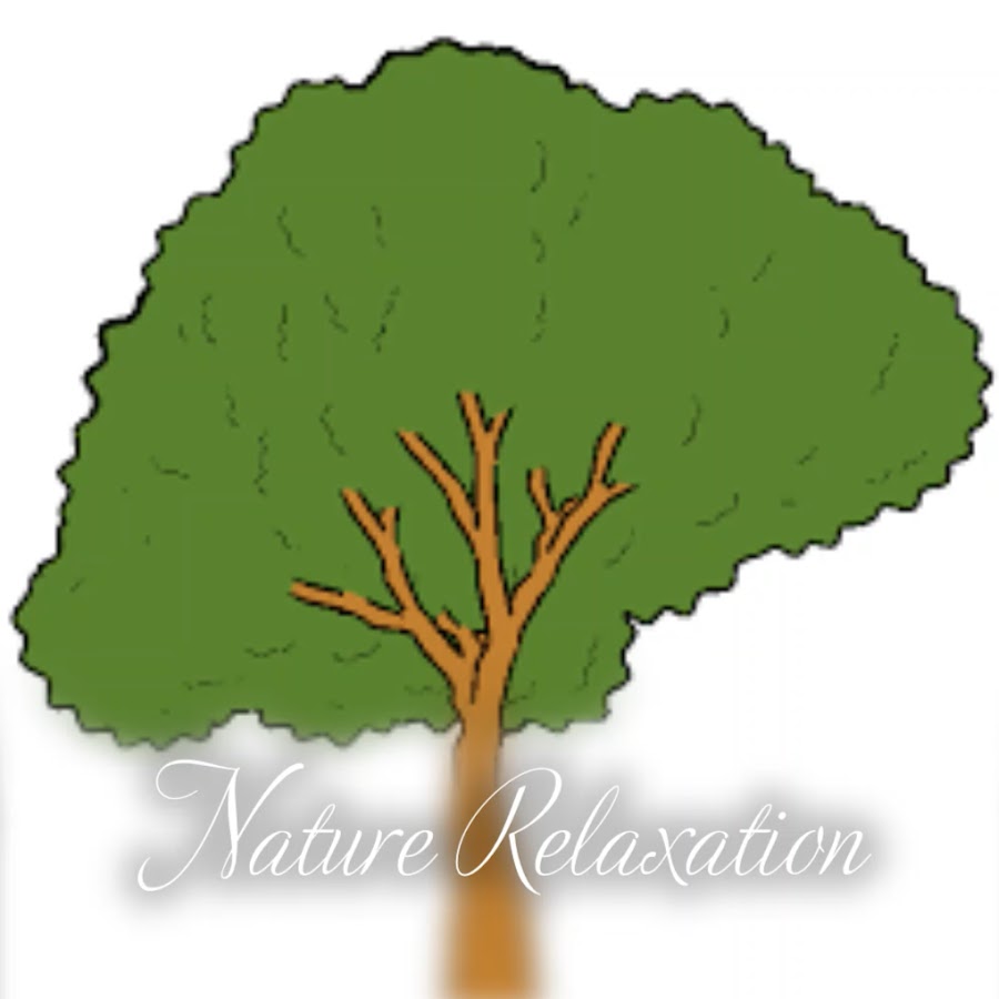 Картинка яблоня без яблок. Яблоня без яблок. Дерево картинка для детей. Деревья без фруктов. Яблоня без яблок на прозрачном фоне