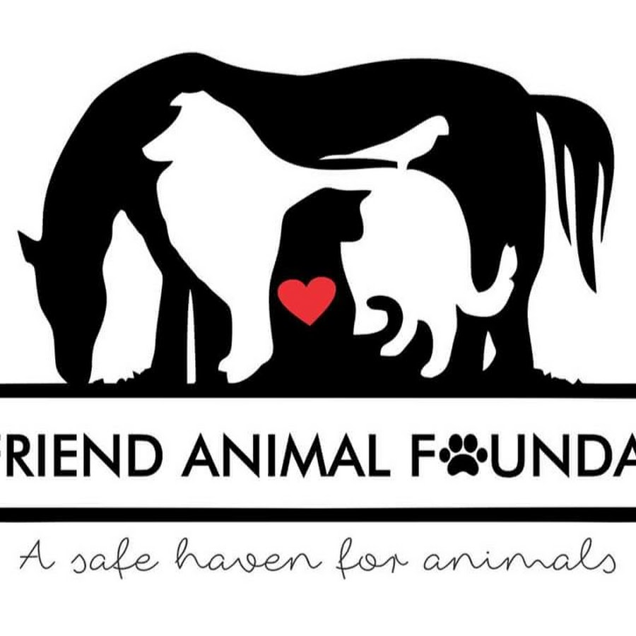 Animal friends на продуктах.