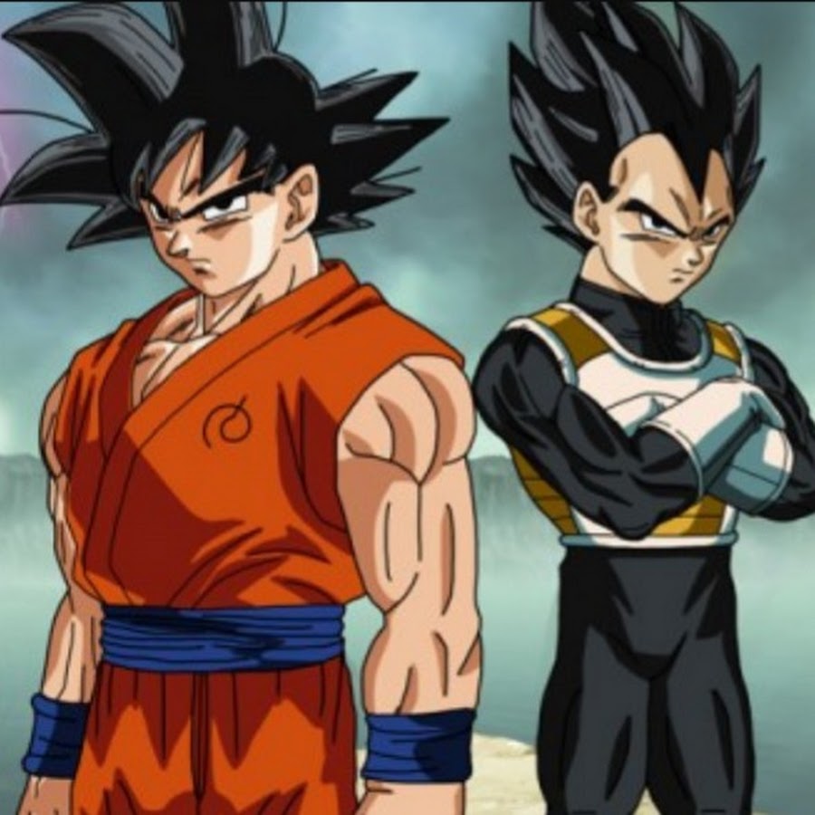 son goku x vegeta