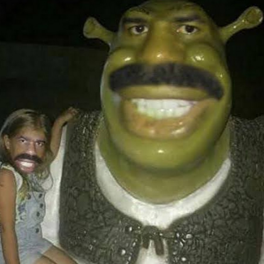 Shrek mustache meme