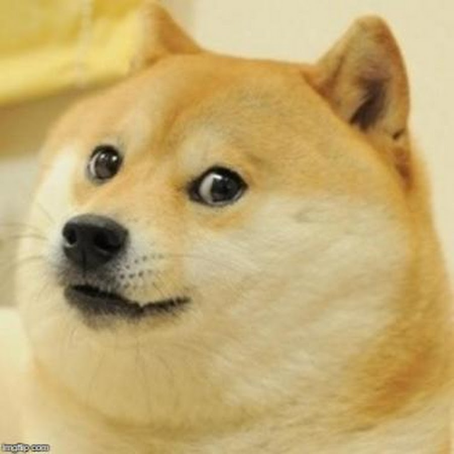 doge pfp 