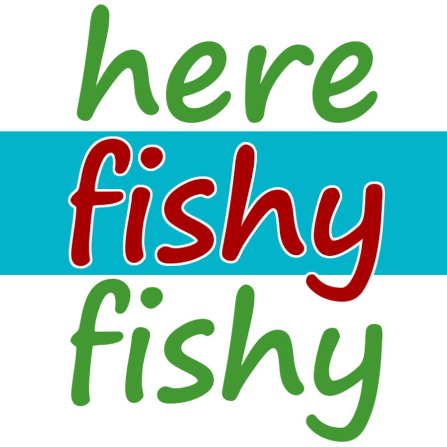 Here Fishy Fishy YouTube