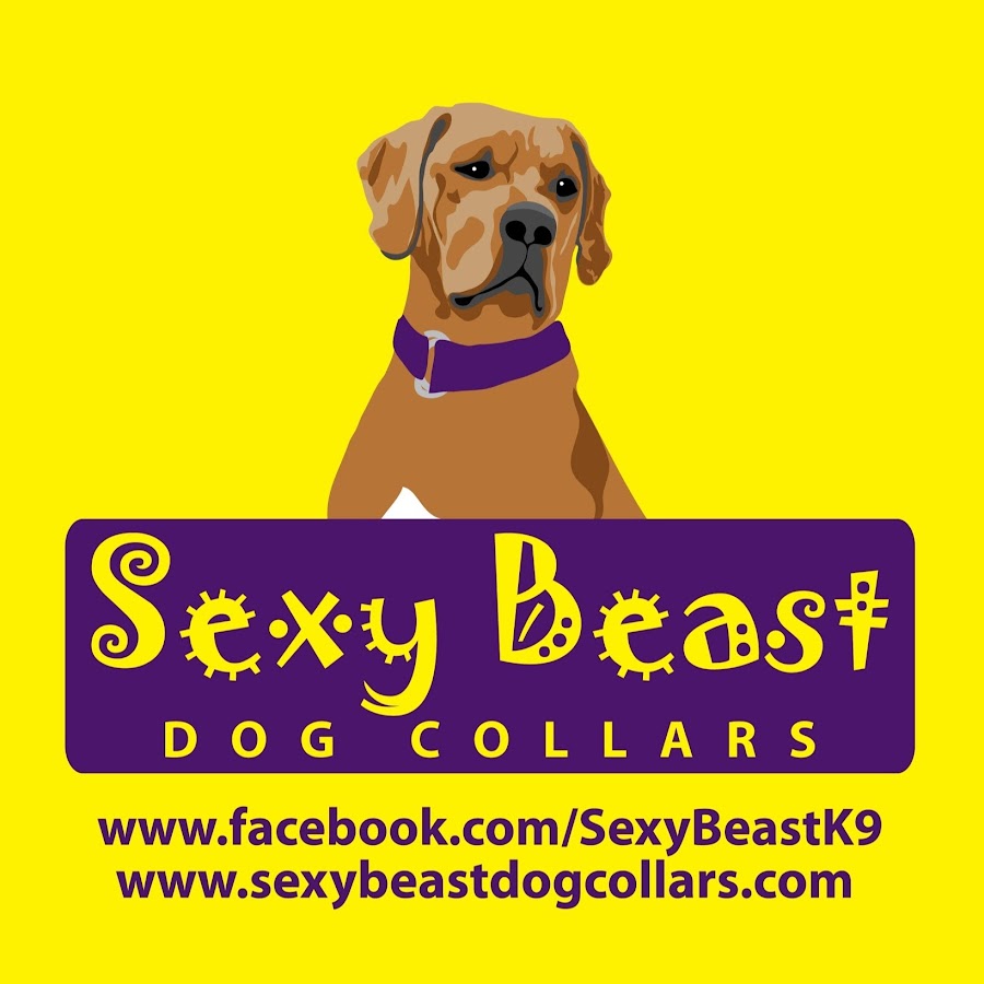 Sexy Beast Dog Collars YouTube