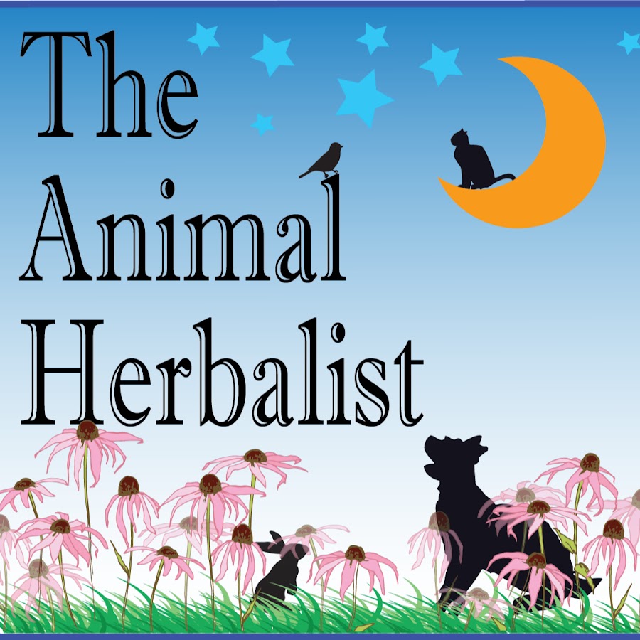 The Animal Herbalist YouTube