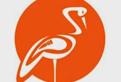 We Shine Shine together brighter