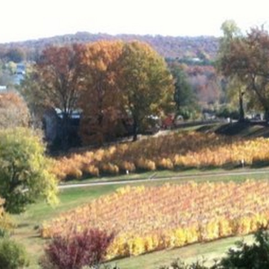 Nikki Tomasovic - YouTube