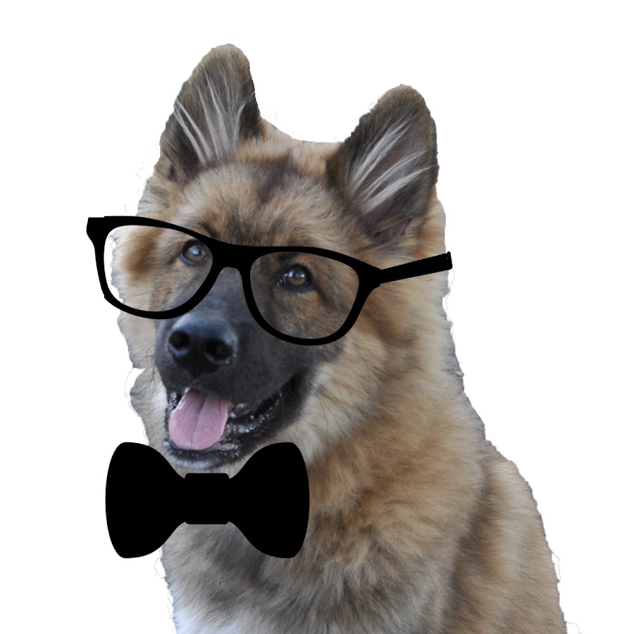 Web Scraping Amazon Python