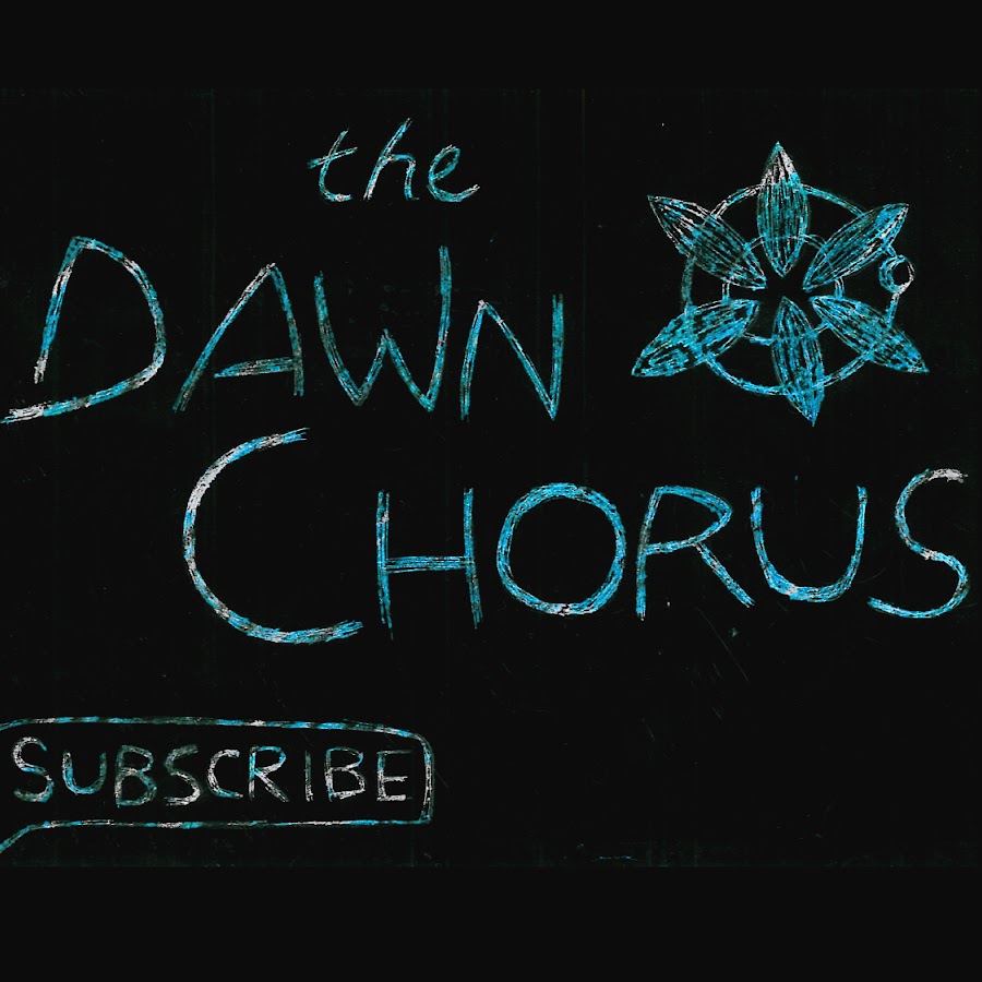 The Dawn Chorus YouTube