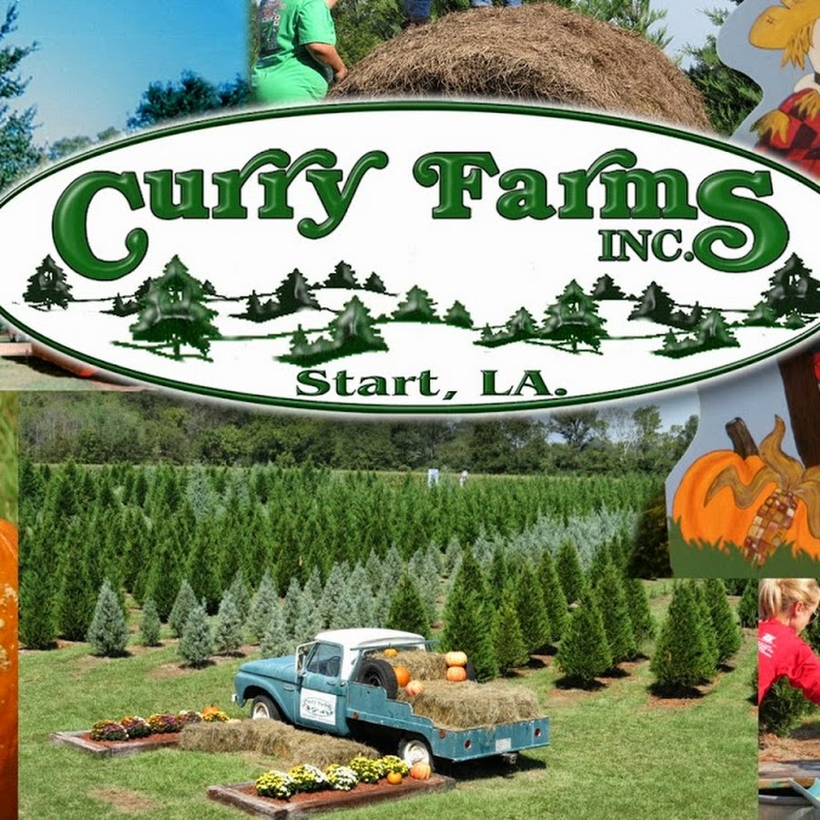 Curry Farms YouTube