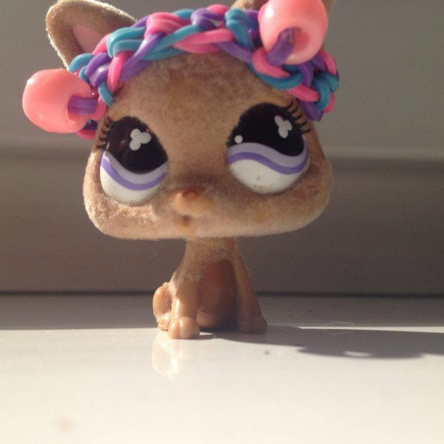 My LPS pet studio - YouTube