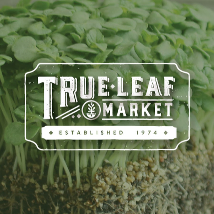 True Leaf Market YouTube