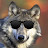 That-Wolf-With-Shades avatar