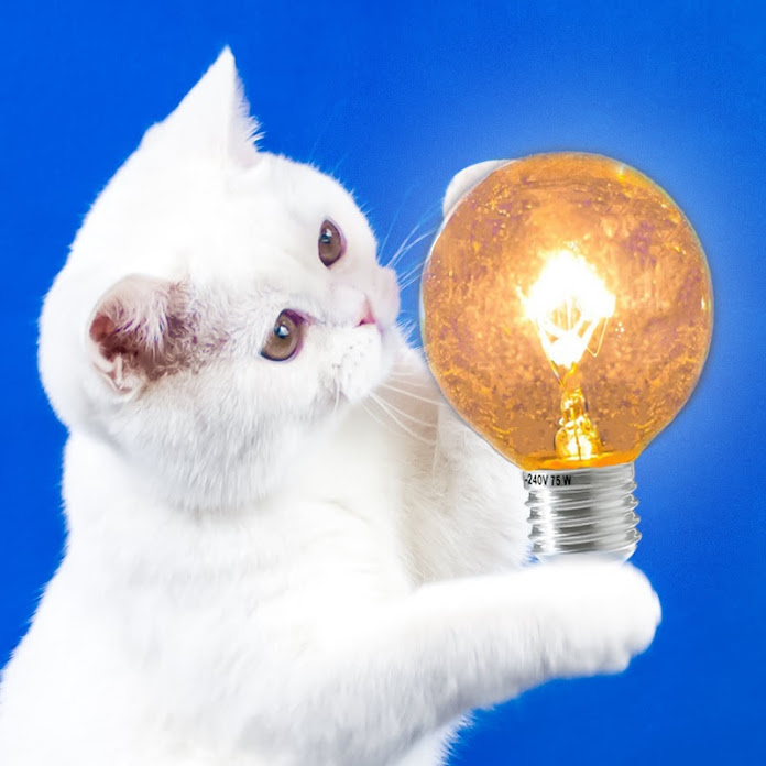 간단한 아이디어 — SIMPLE IDEAS Net Worth & Earnings (2025)