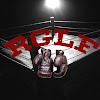 What could RINGLIFE buy with $667.4 thousand?