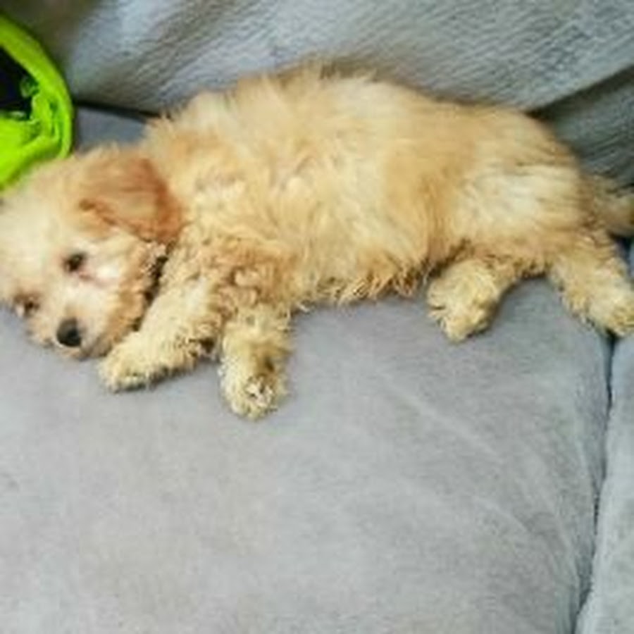 Brown Boys - YouTube