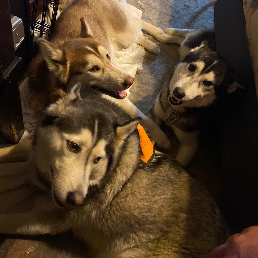 Silent Killer - YouTube