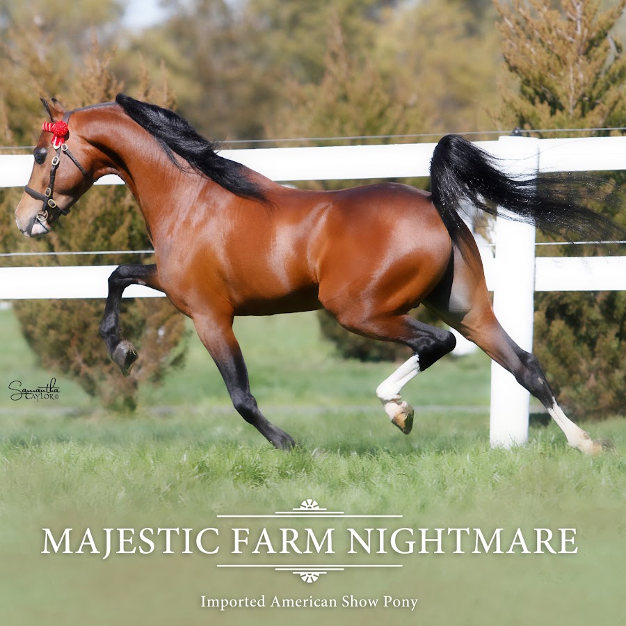 Majestic Farm Nightmare 