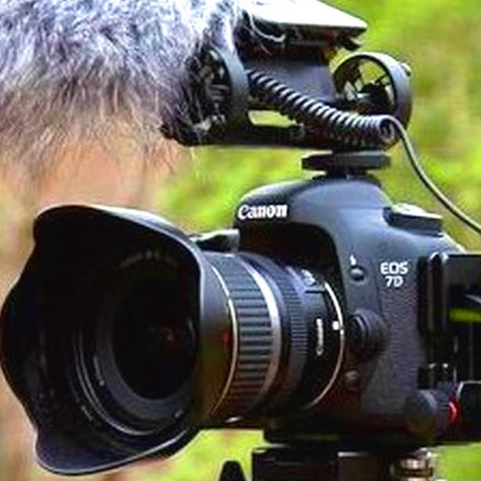 모방과창조 Net Worth & Earnings (2026)