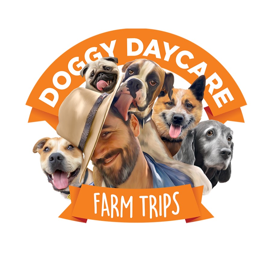 Doggy Daycare Farm Trips YouTube