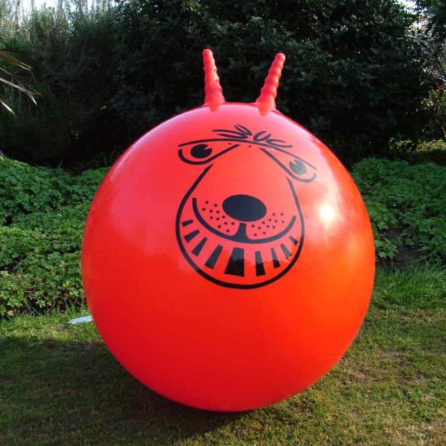 space hopper animal