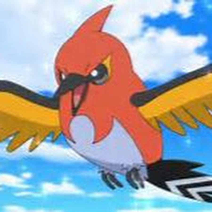 Yeet Yeets - YouTube