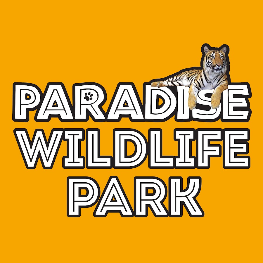 Paradise Wildlife Park YouTube