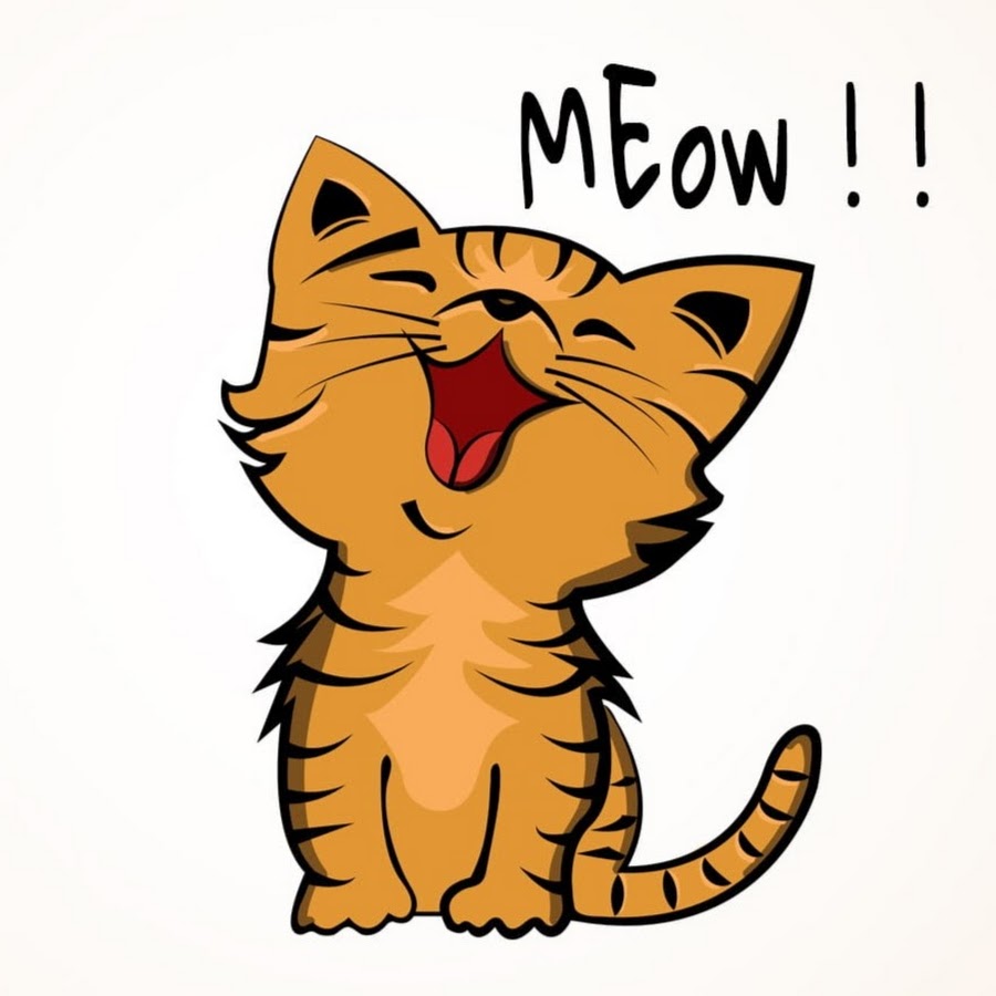 Орущий кот рисунок