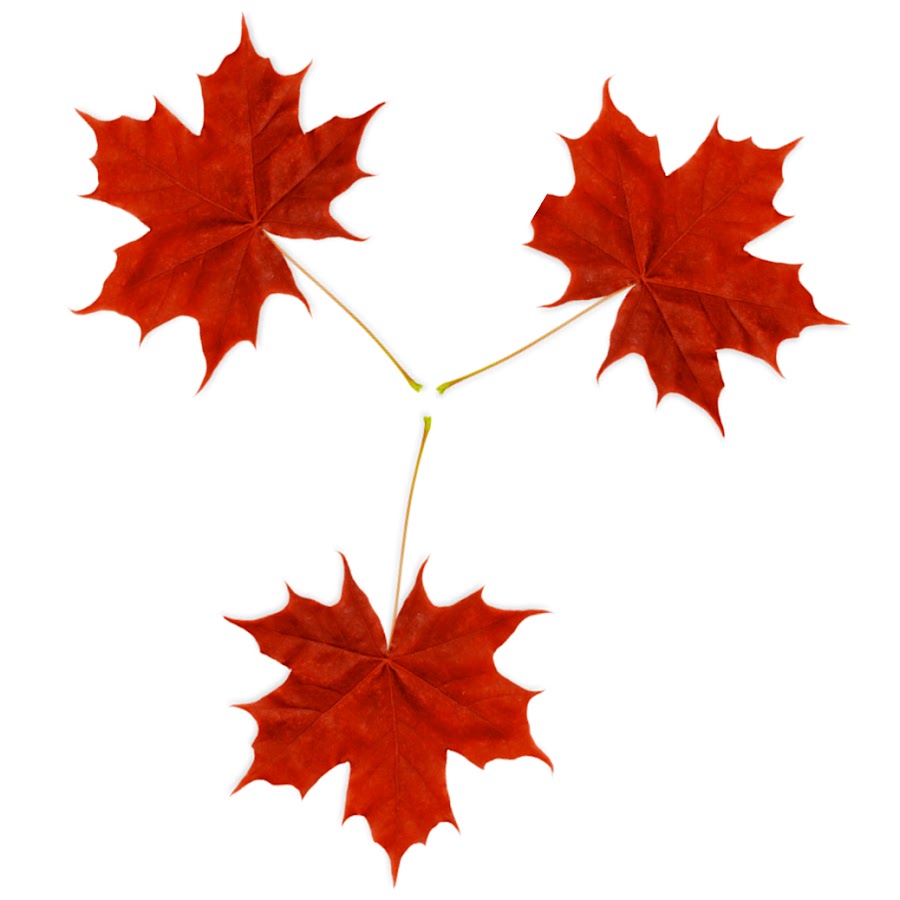 Immigrate & Succeed in Canada - YouTube