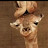 Giraffes eat stuff avatar