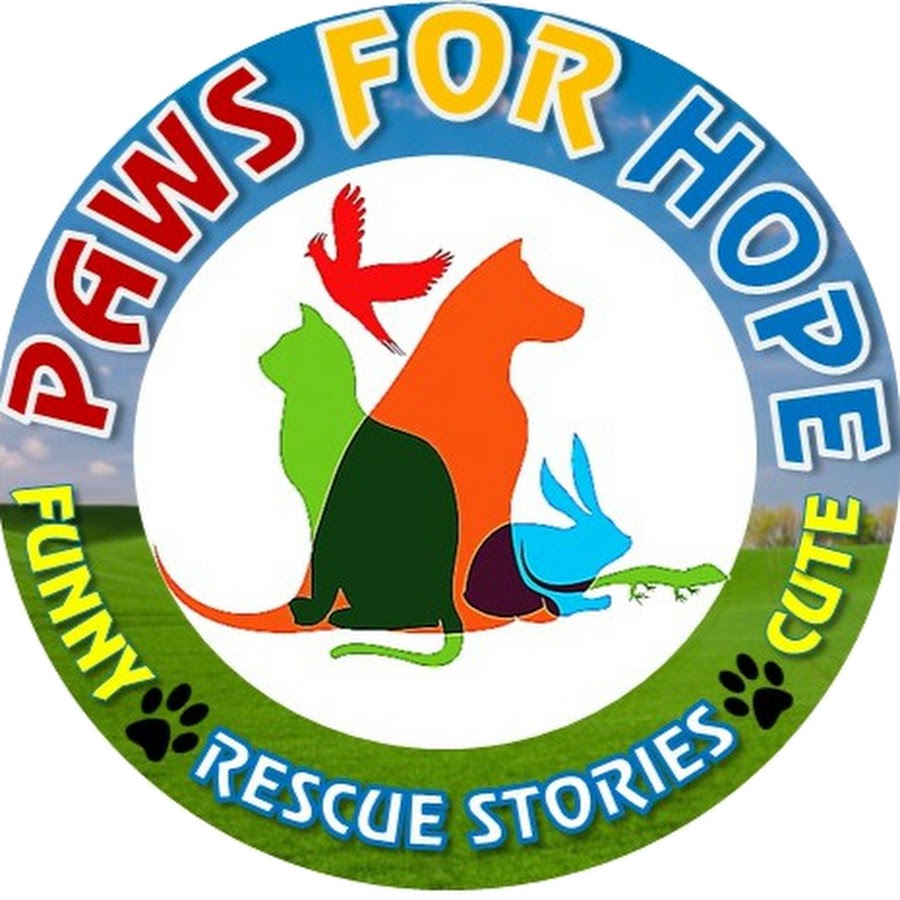 Paws For Hope - YouTube