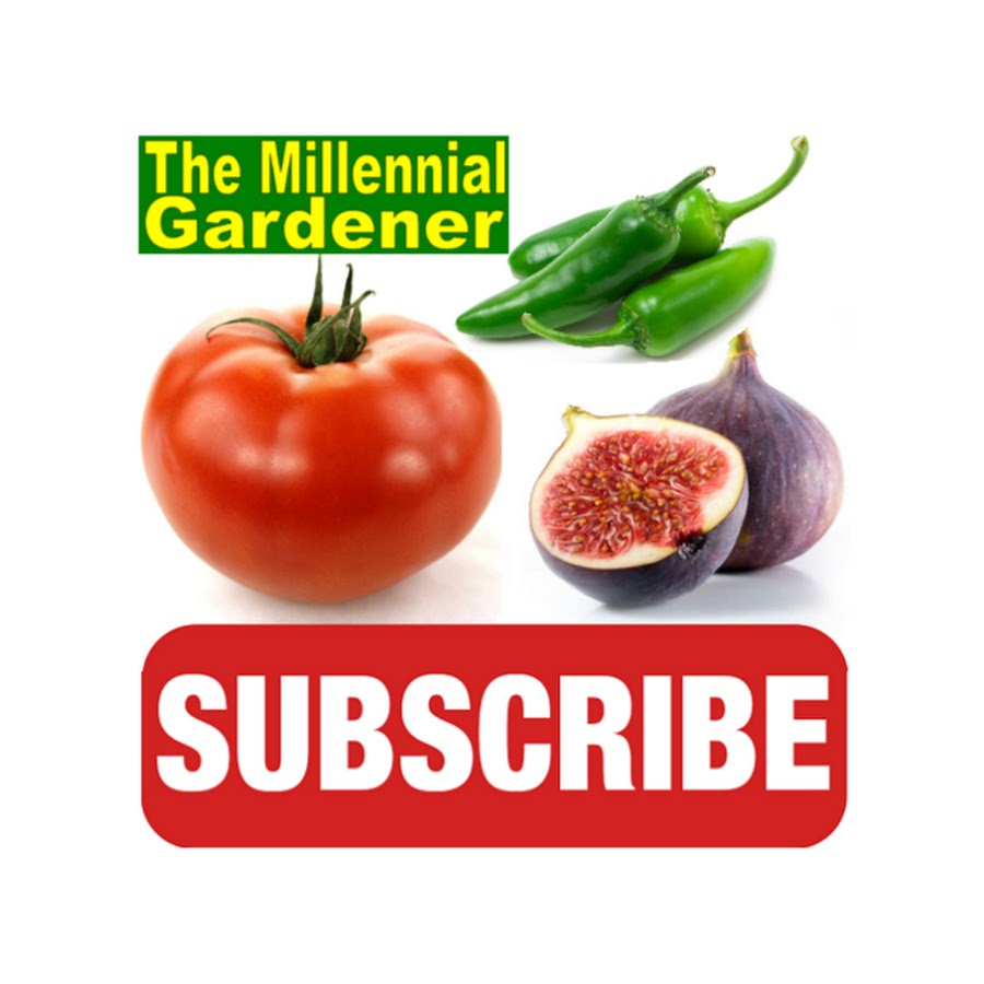 The Millennial Gardener 