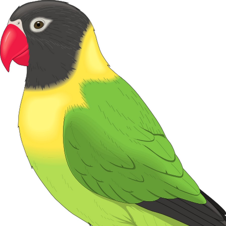Lovebirds Are Awesome 