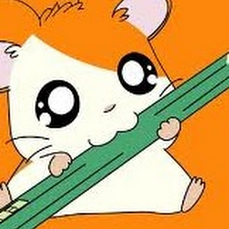 Комбо карты хомяк 23.06. Хамтаро. Хомяк хамтаро. Хомячки Hamtaro.